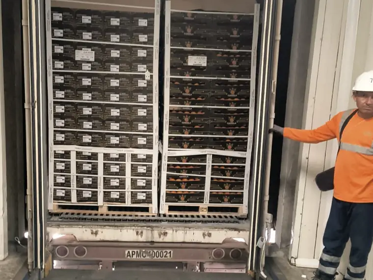 Interior de contenedor refrigerado con racks